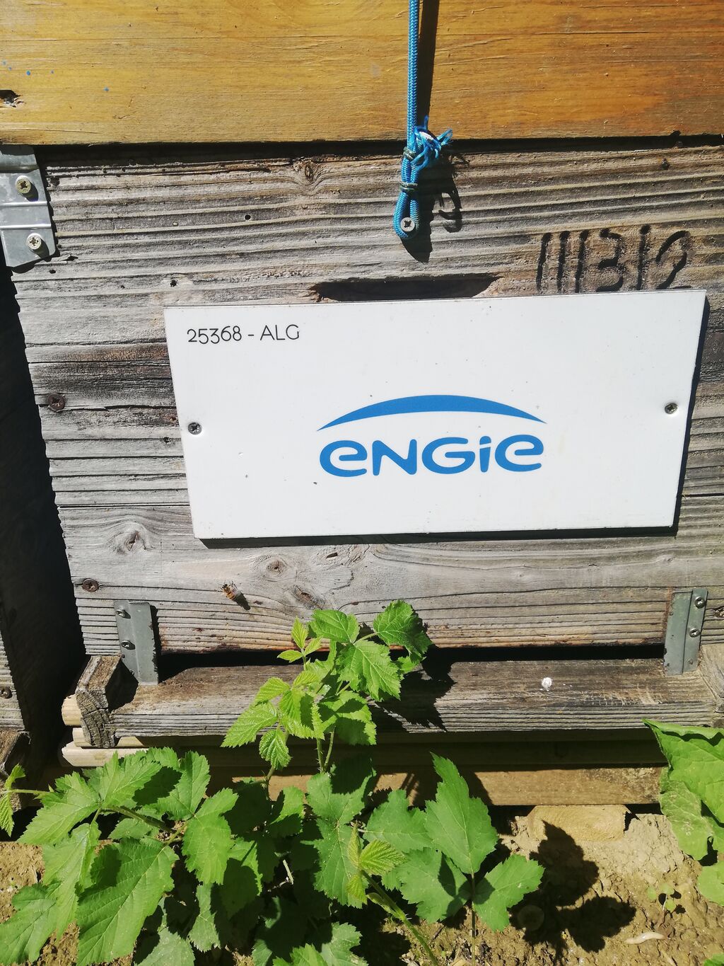 La ruche ENGIE - MPPA