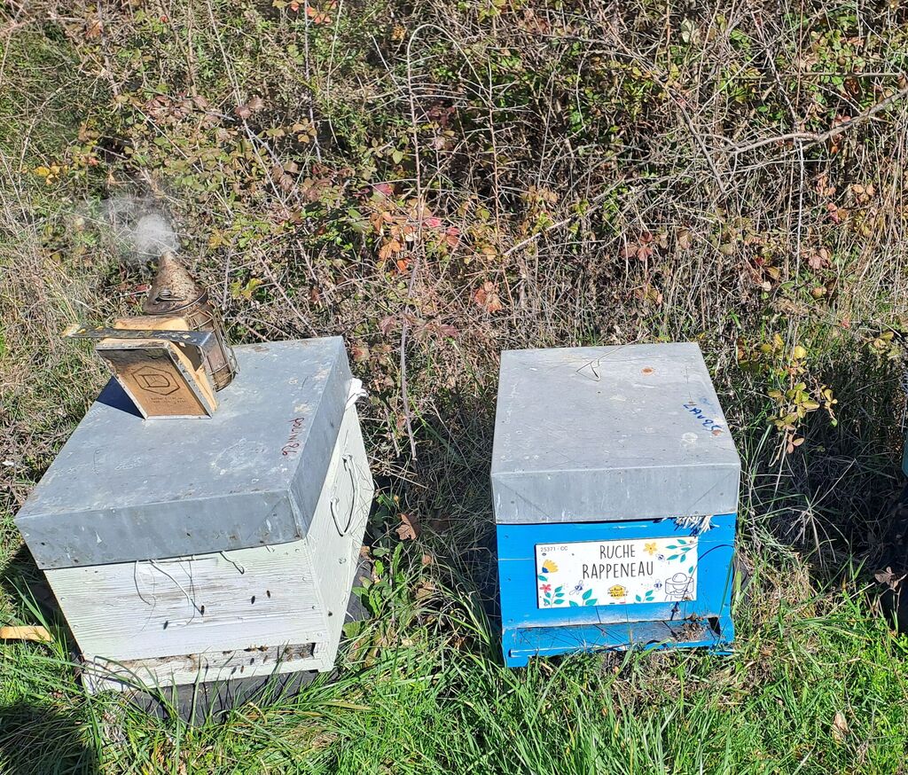 La ruche Rappeneau