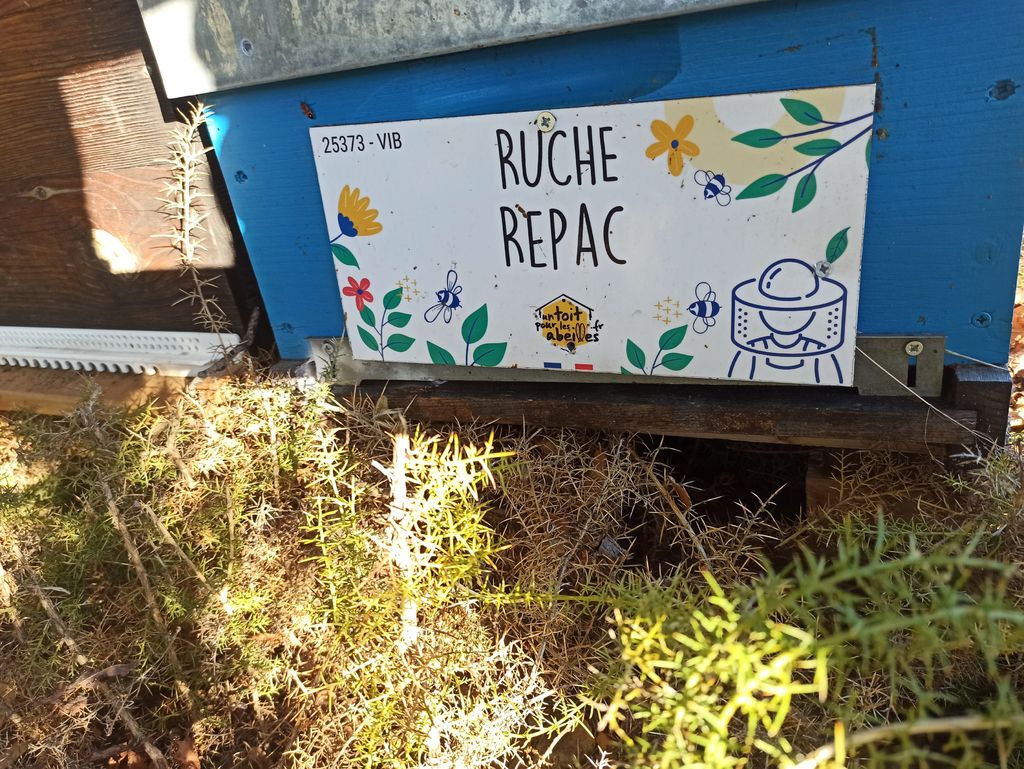 La ruche Repac