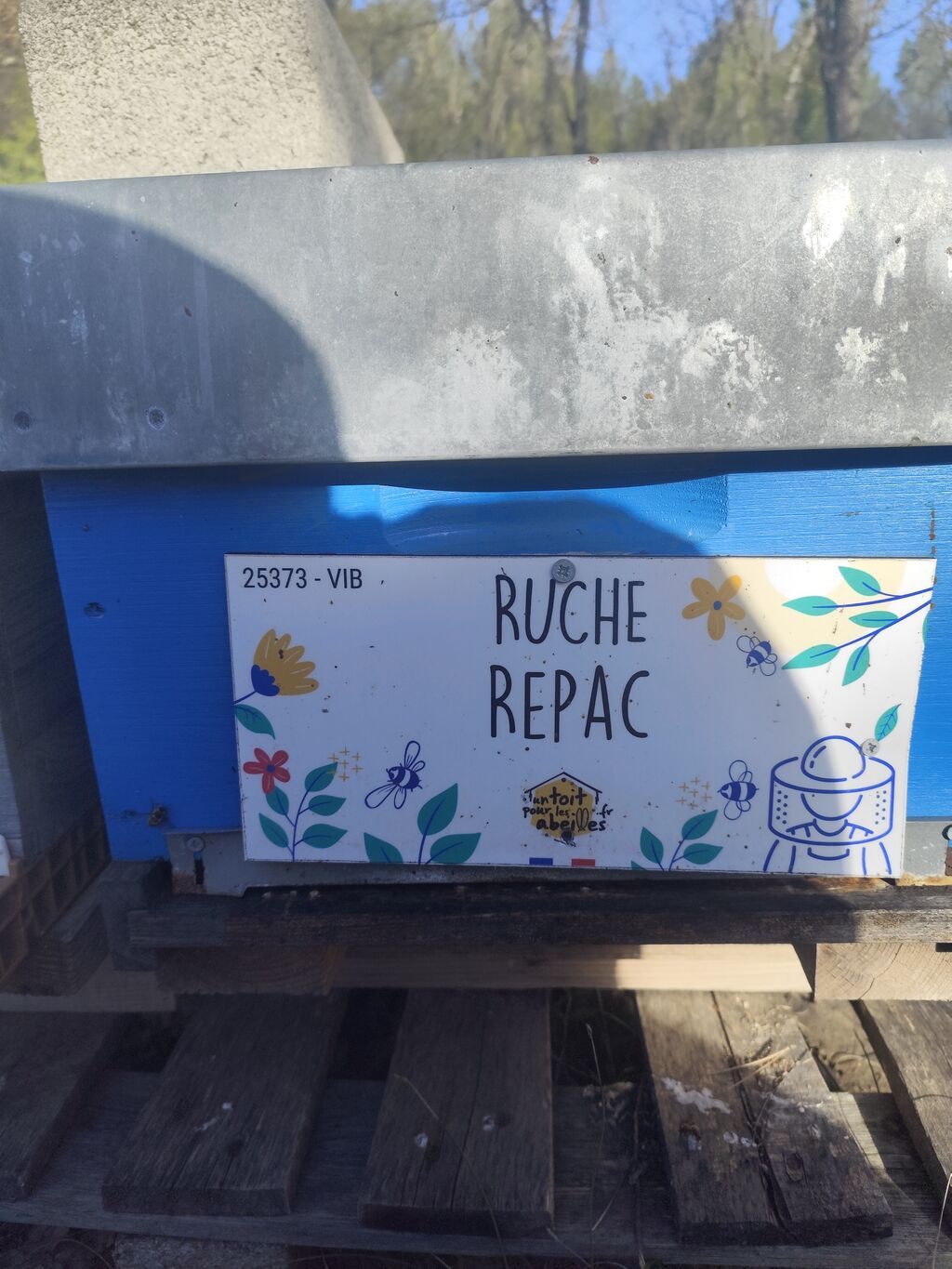 La ruche Repac