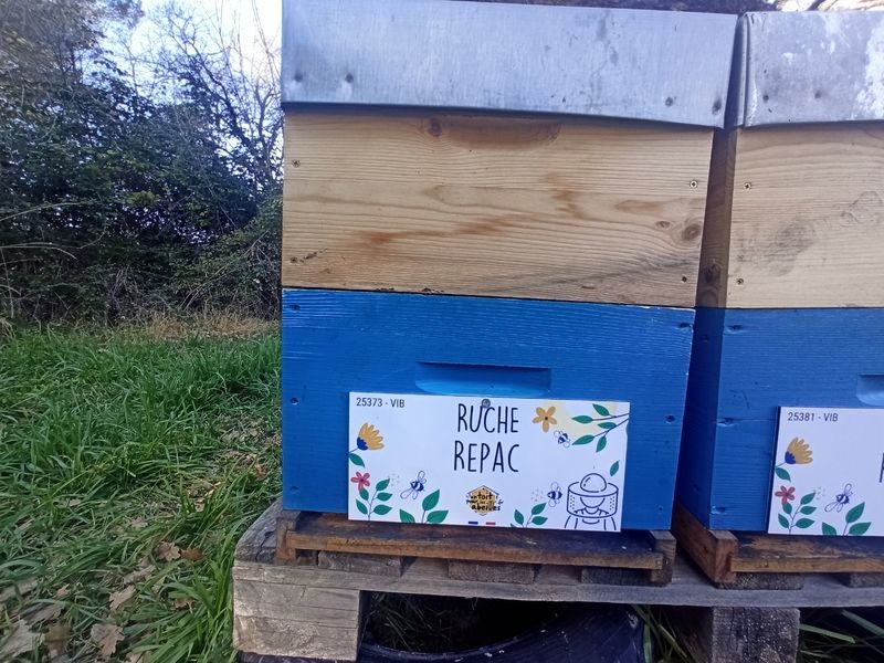 La ruche Repac