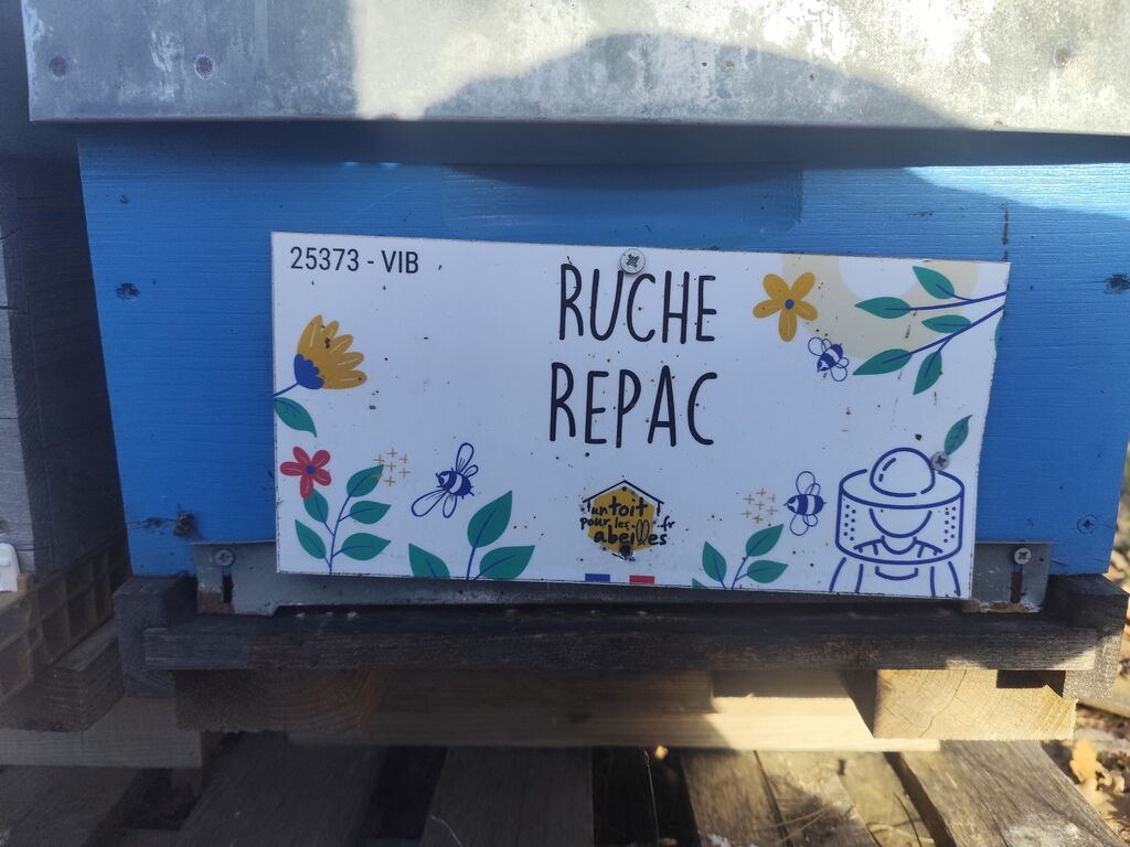 La ruche 