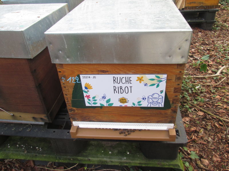 La ruche