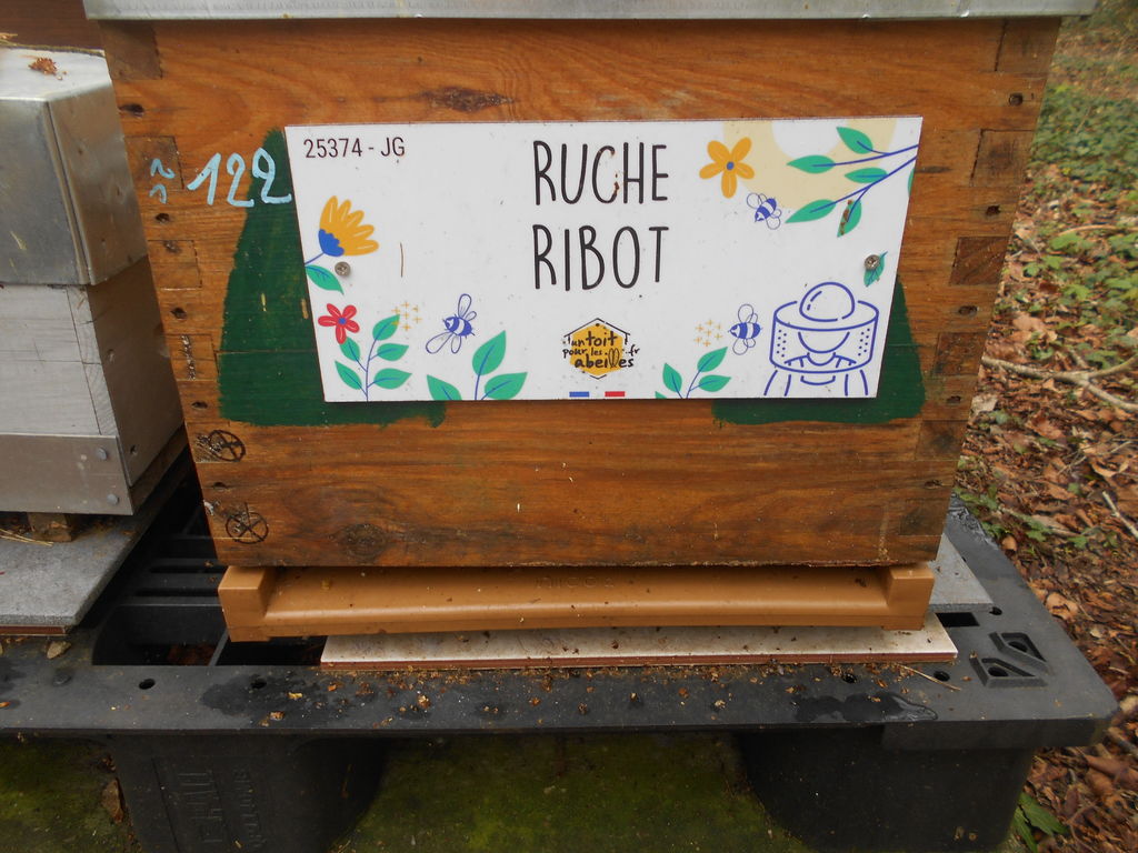 La ruche