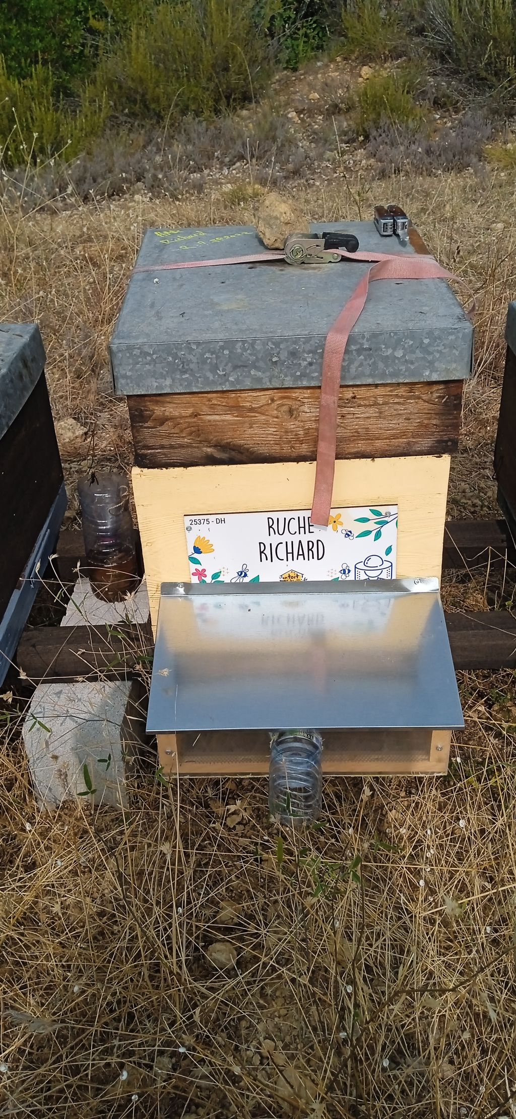 La ruche Richard