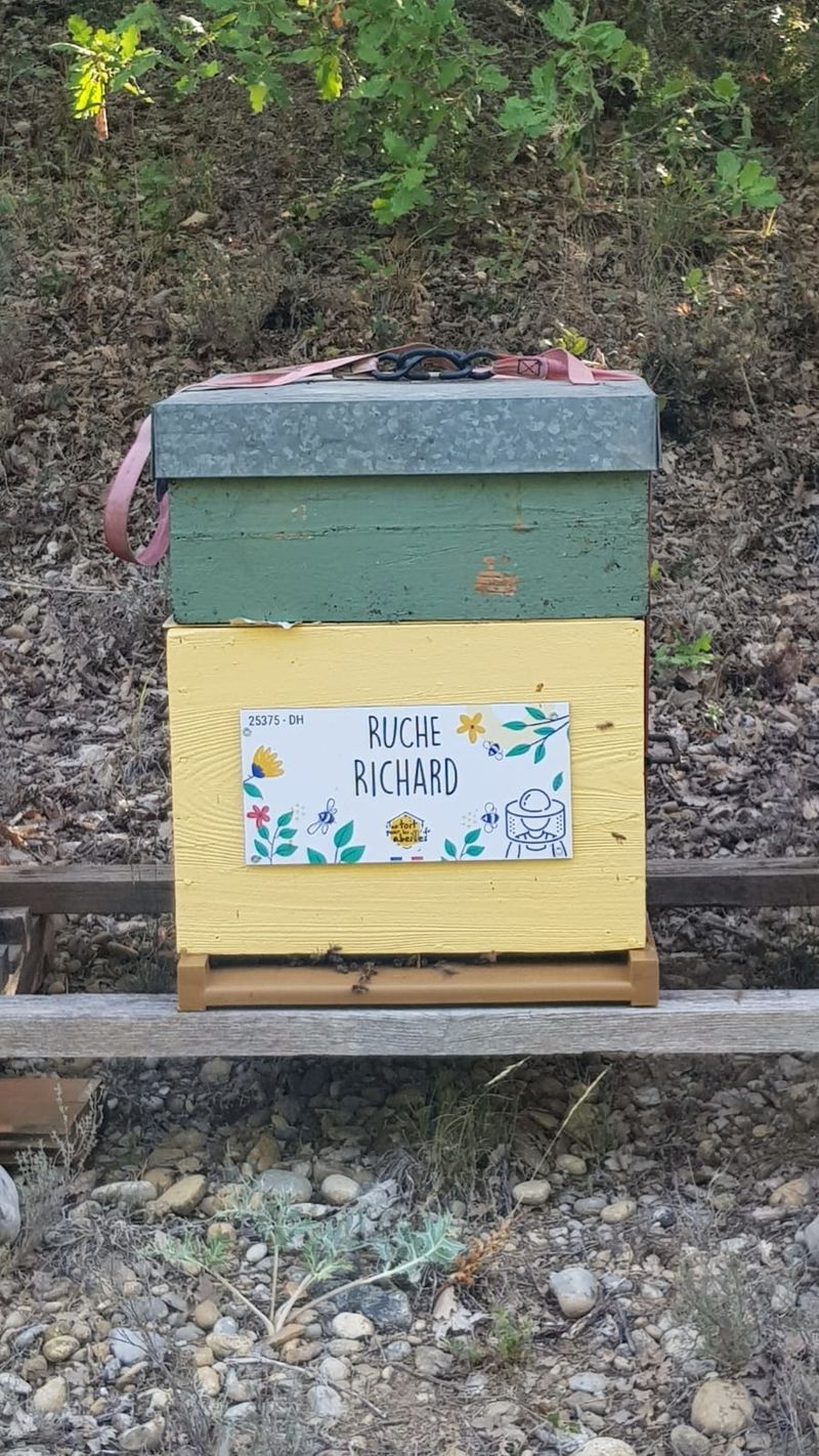 La ruche Richard