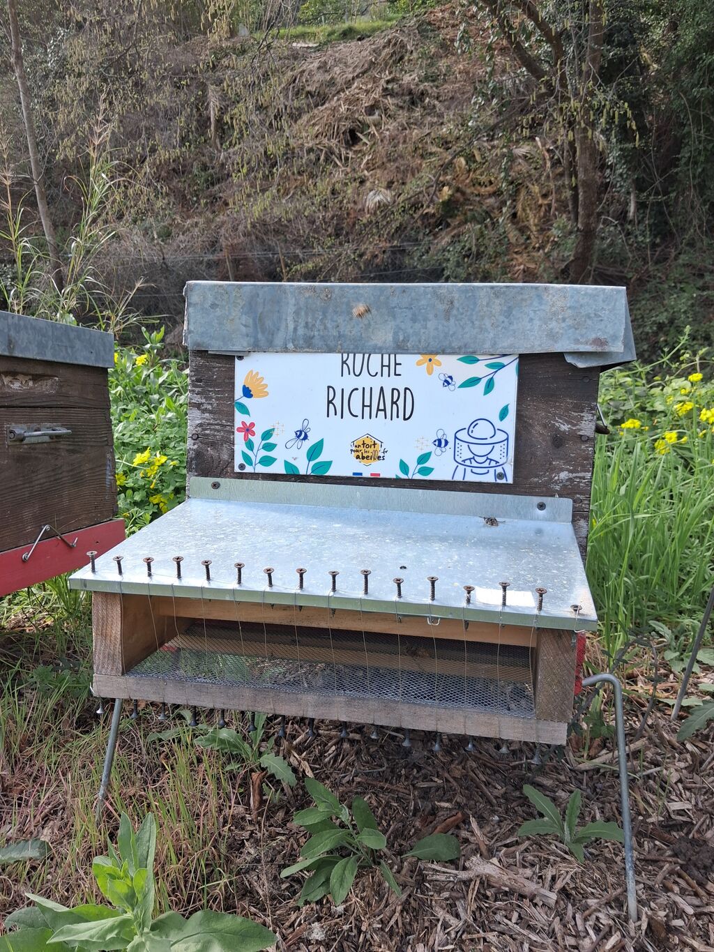 La ruche Richard