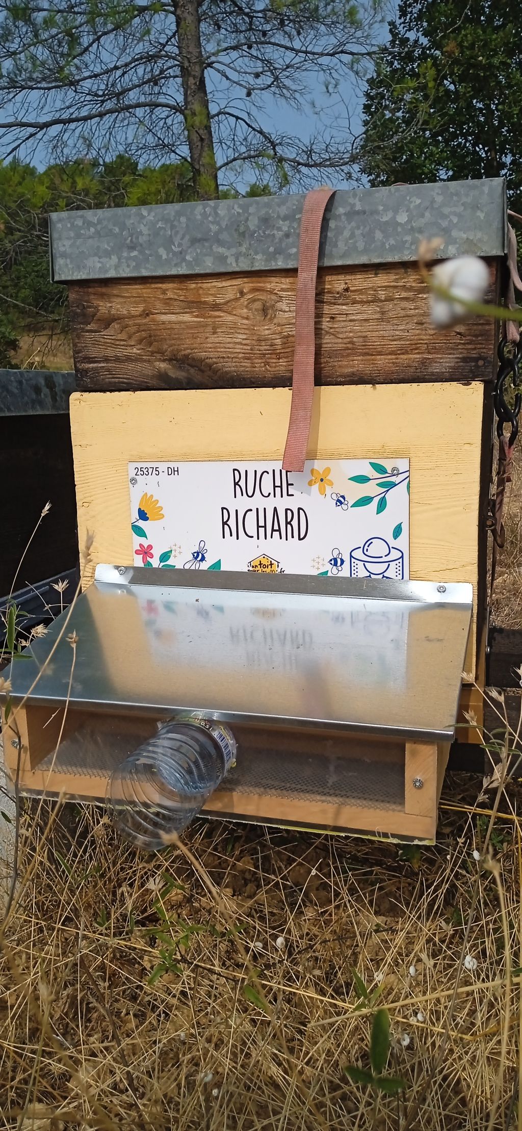 La ruche Richard
