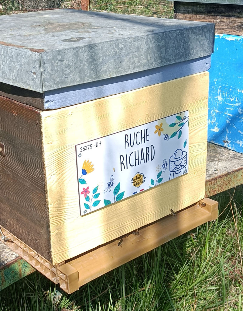 La ruche Richard