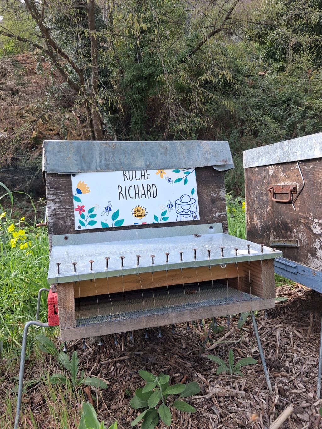 La ruche Richard