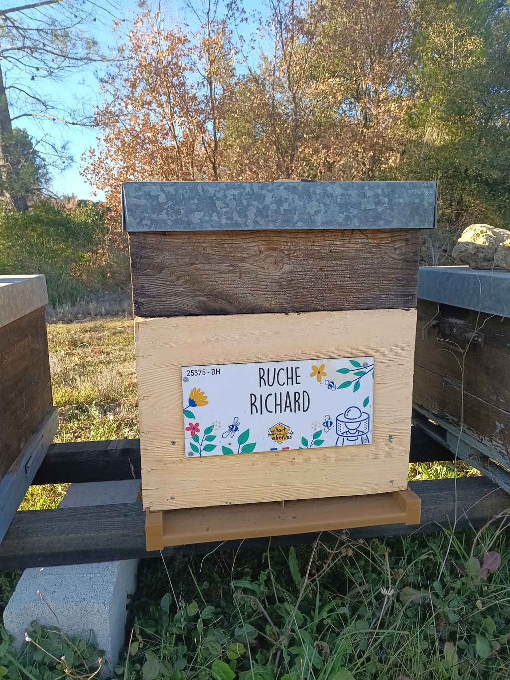 La ruche Richard
