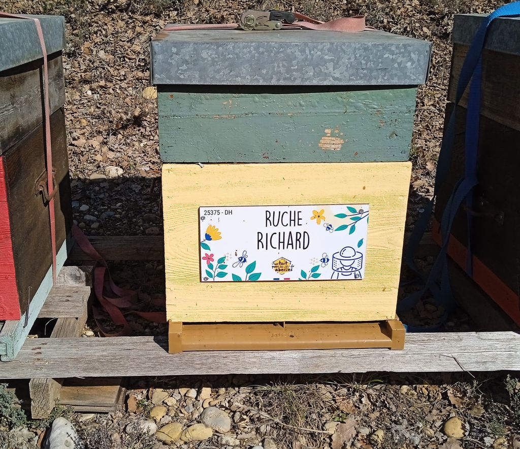 La ruche Richard
