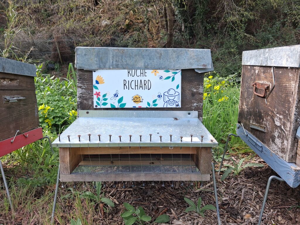 La ruche Richard