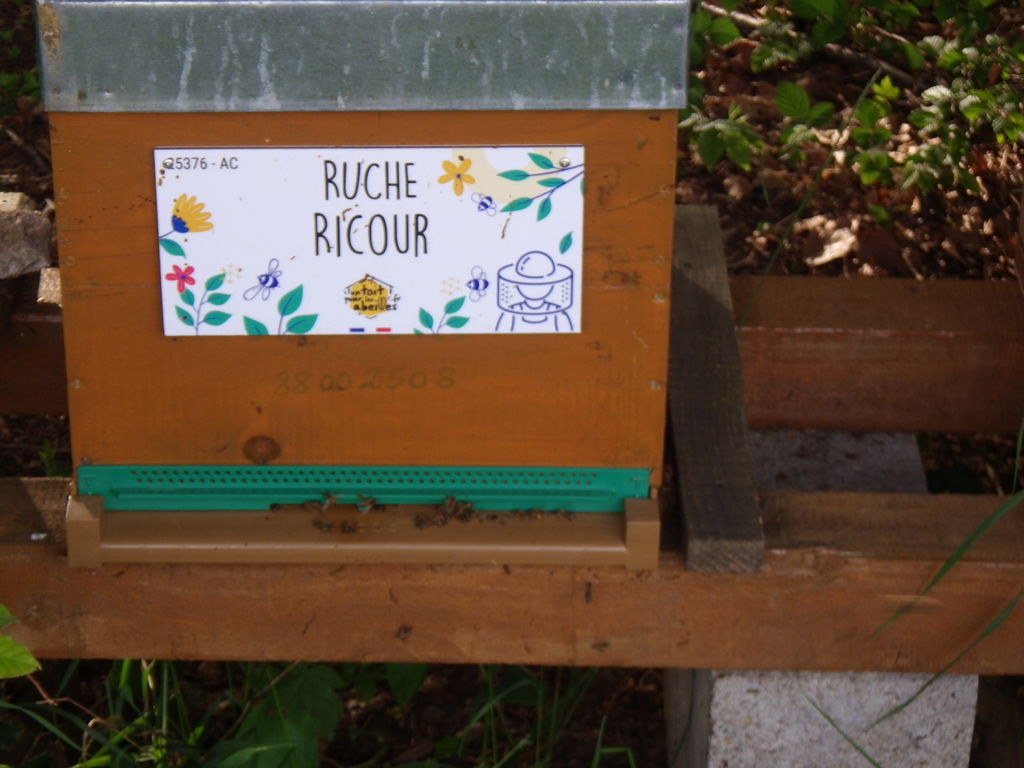 La ruche