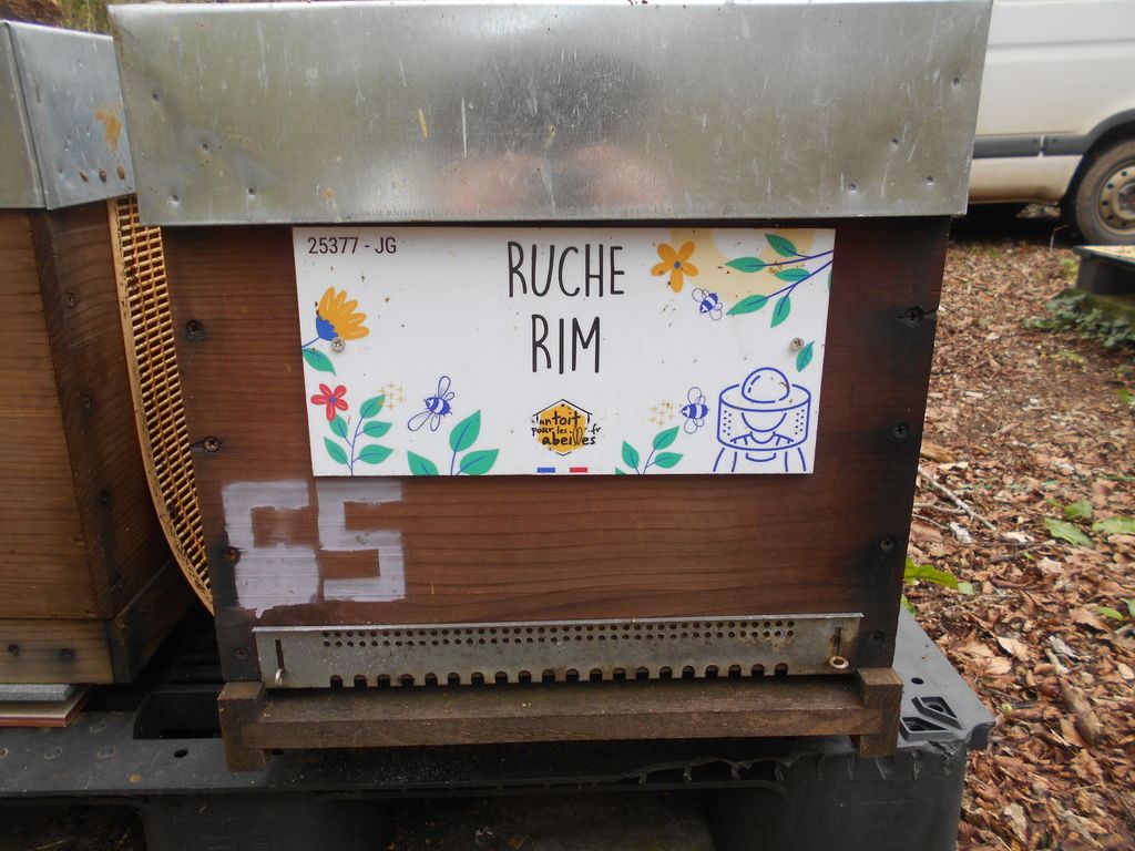 La ruche 