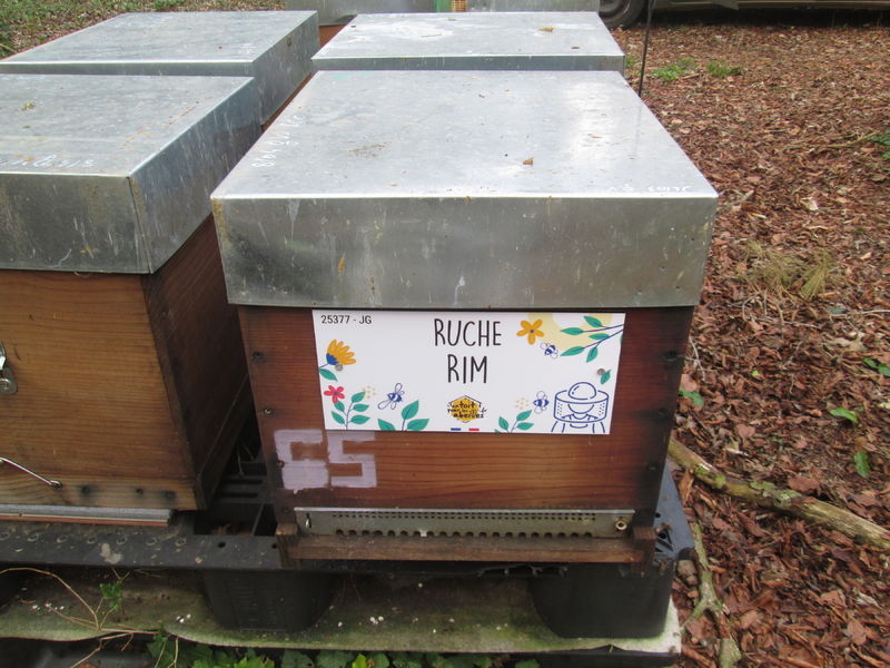 La ruche Rim