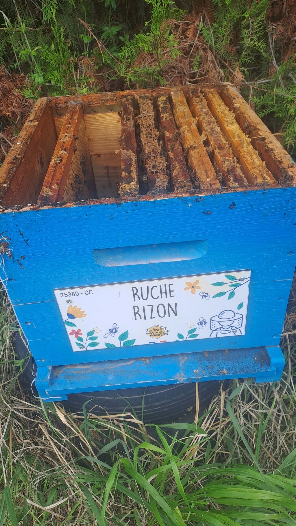 La ruche Rizon