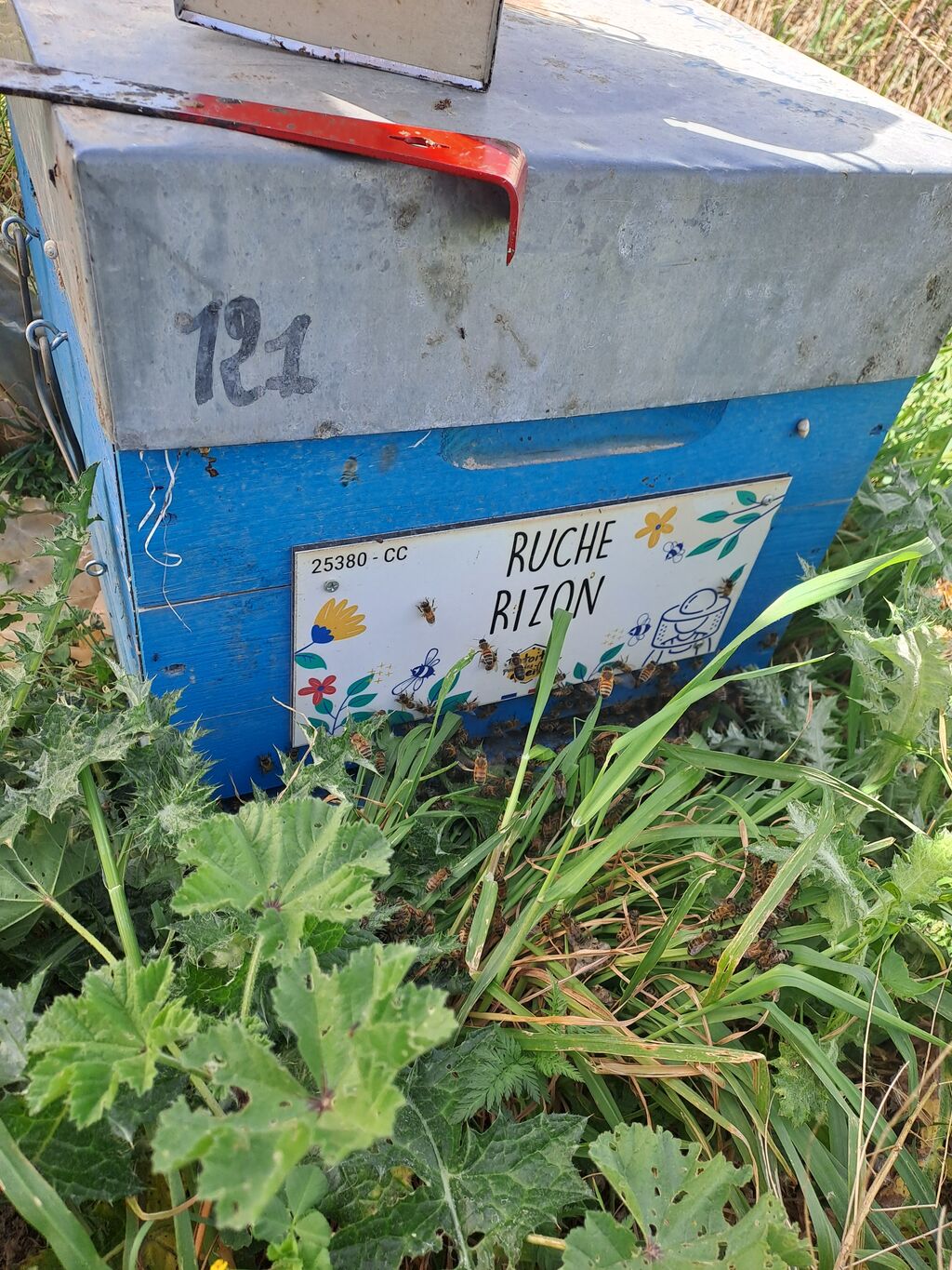 La ruche Rizon