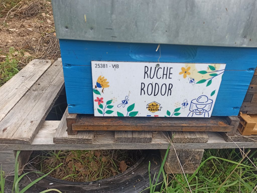 La ruche