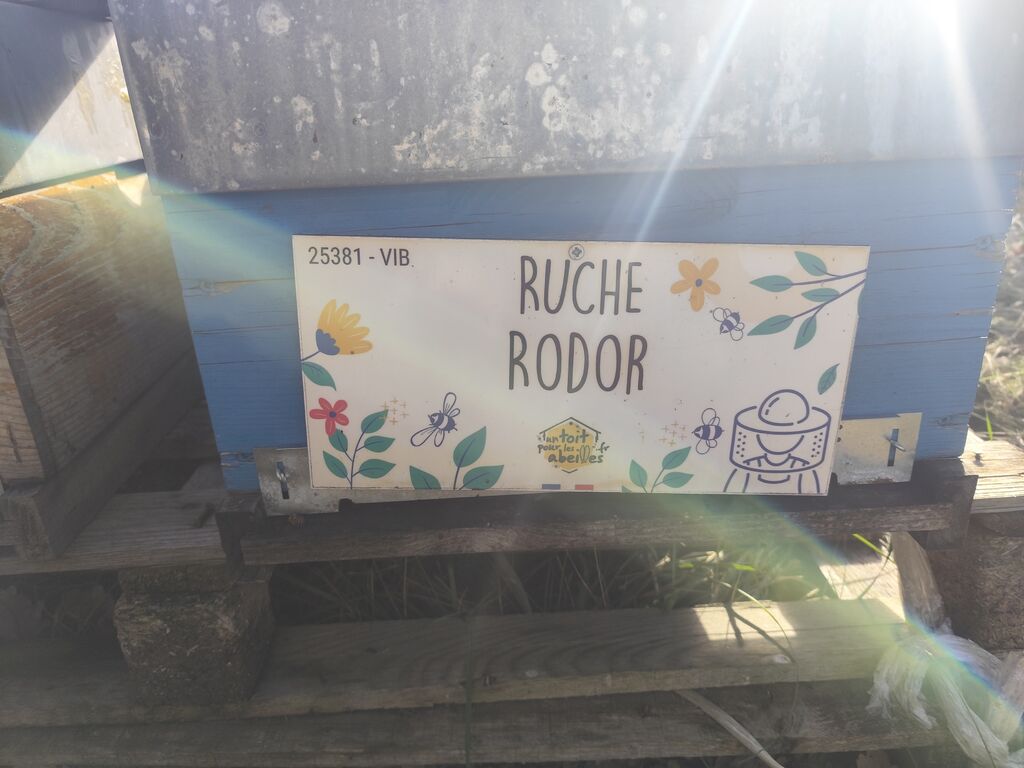La ruche Rodor
