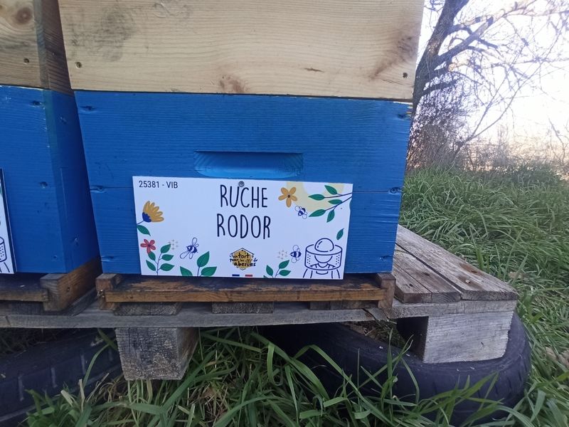 La ruche Rodor