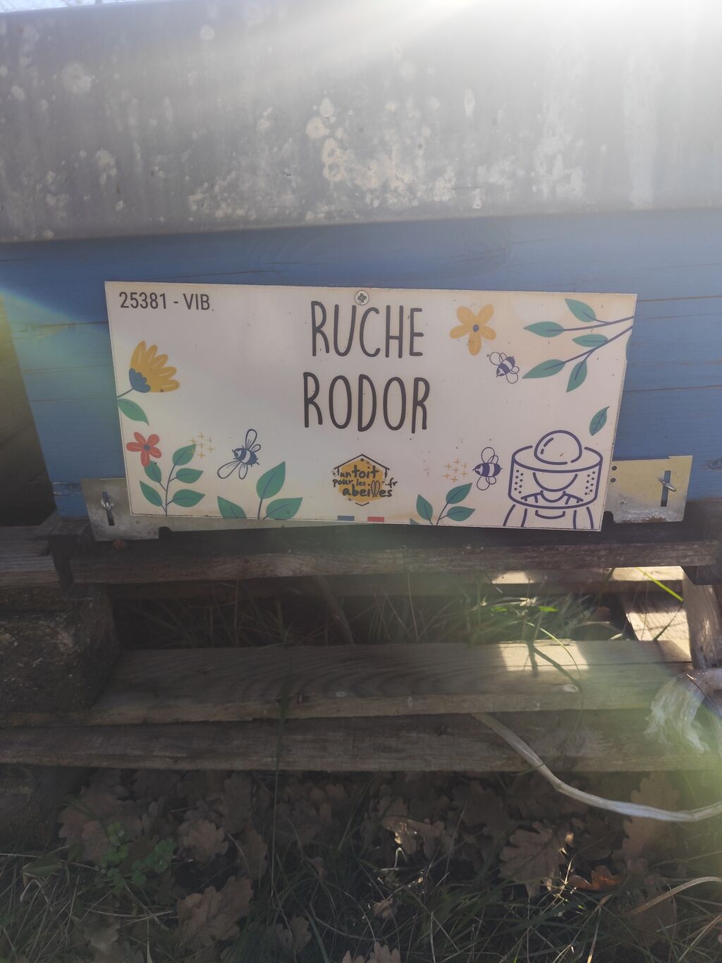 La ruche 