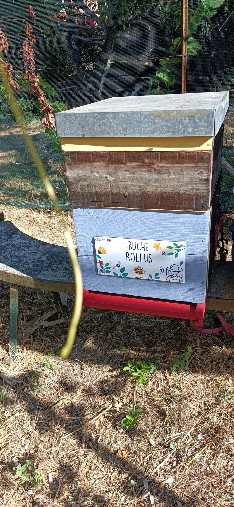 La ruche Rollus