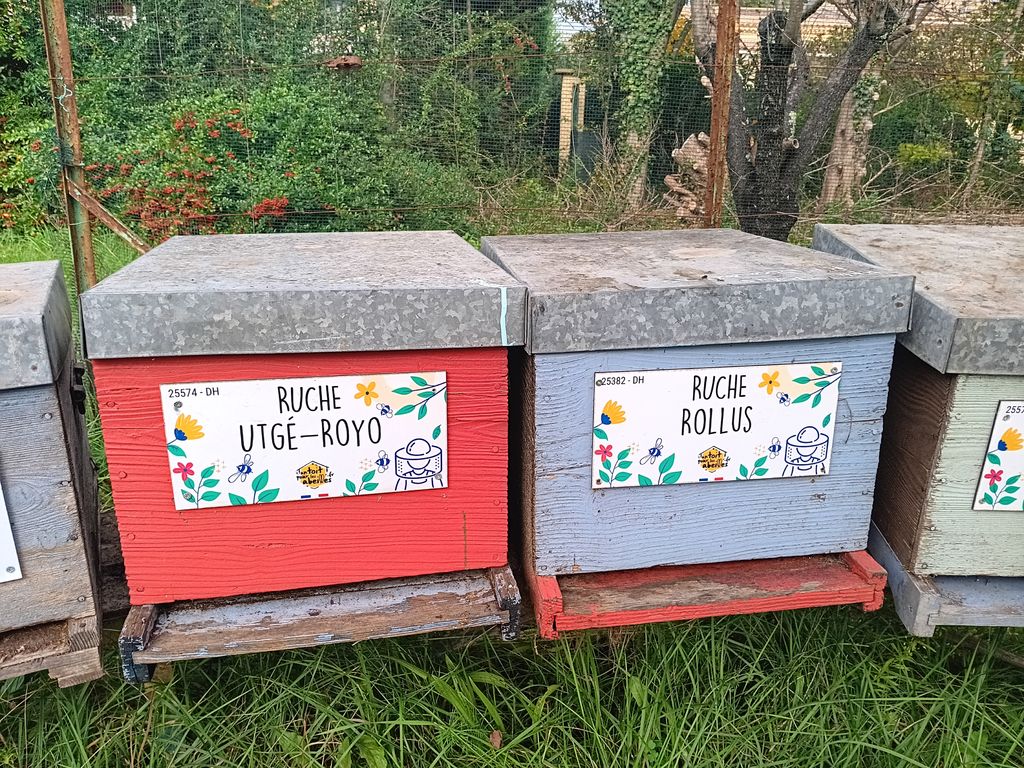 La ruche Rollus