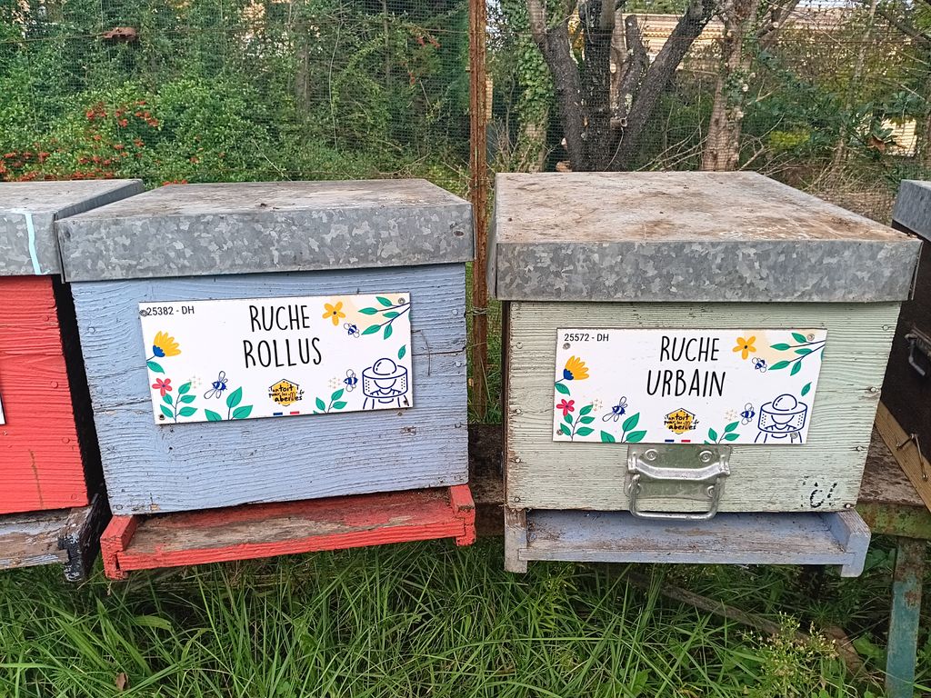 La ruche Rollus
