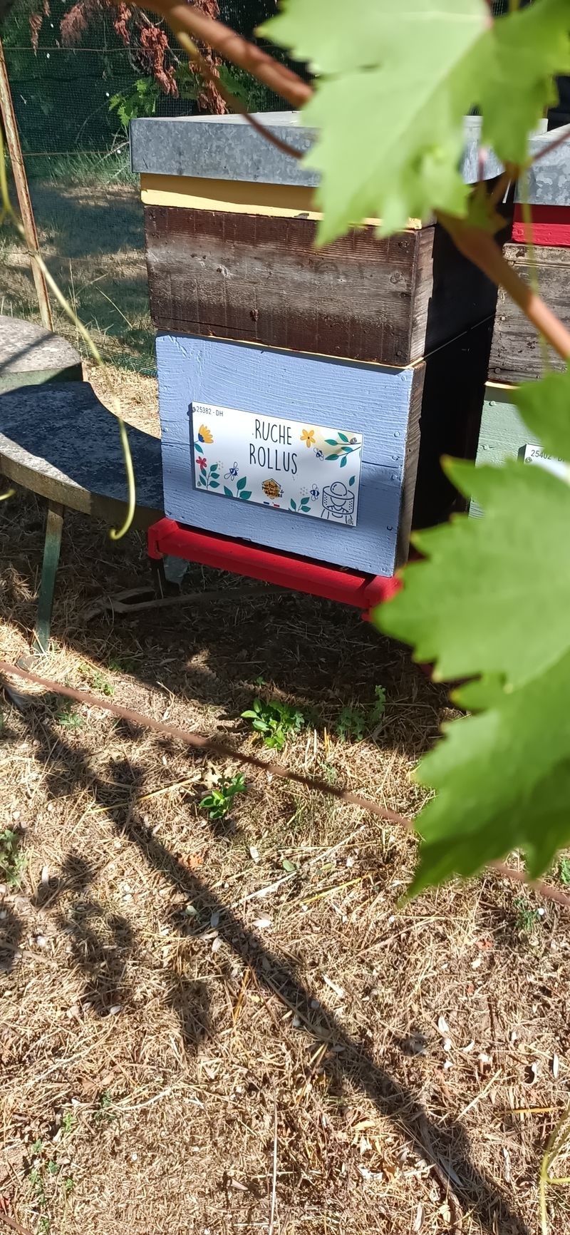 La ruche Rollus