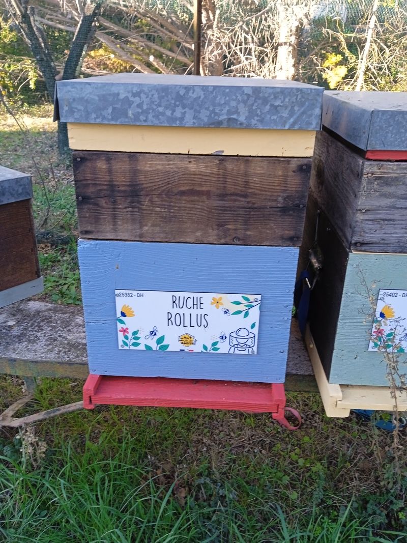 La ruche Rollus