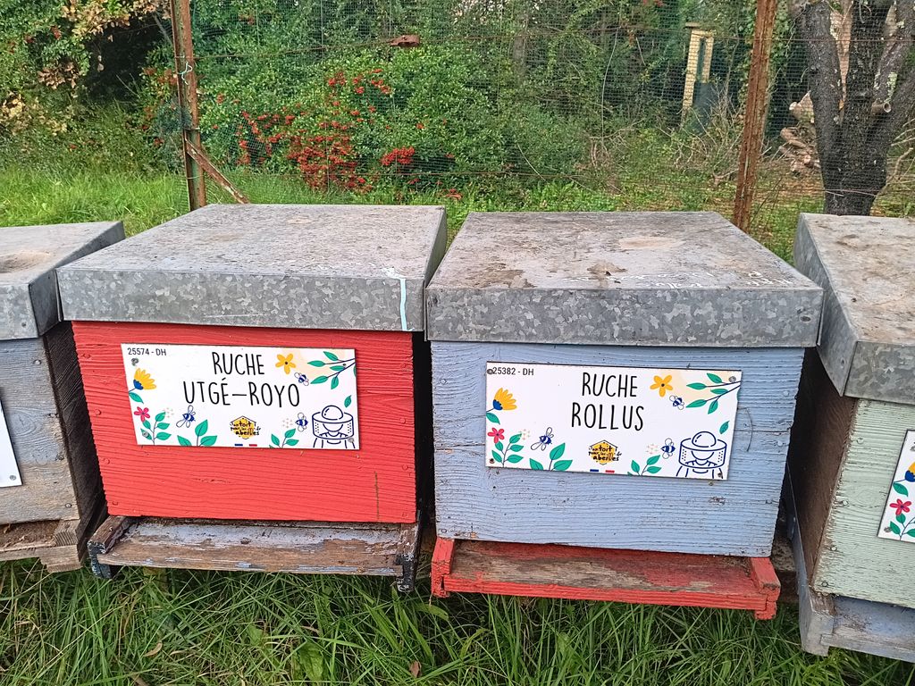 La ruche Rollus