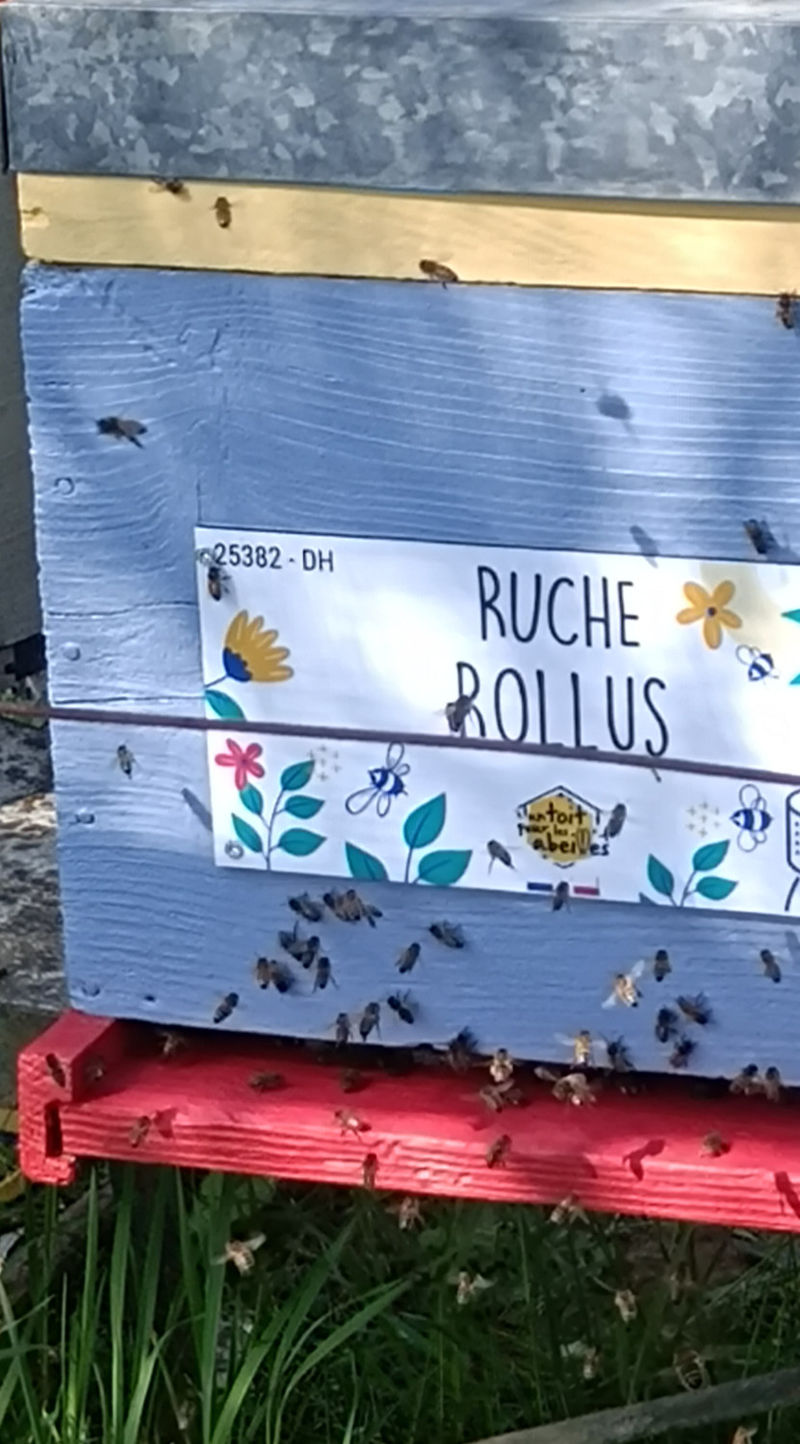 La ruche Rollus