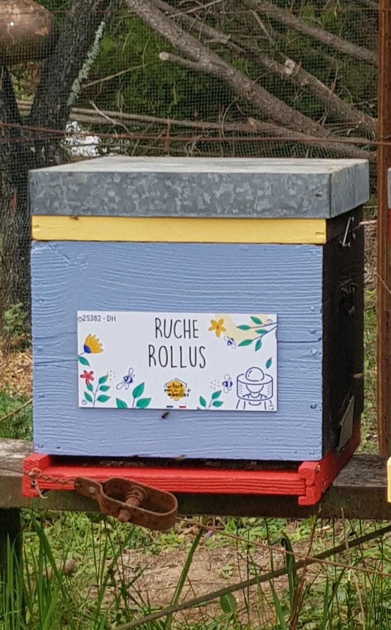 La ruche Rollus