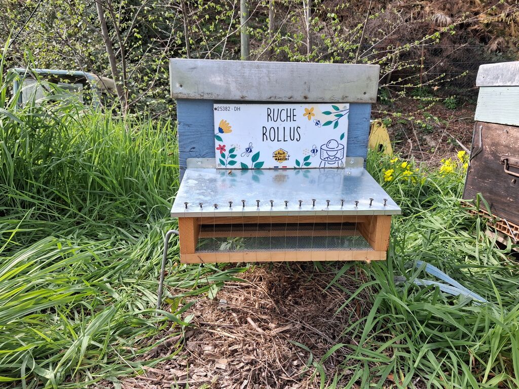 La ruche Rollus