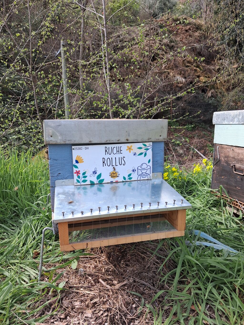La ruche Rollus
