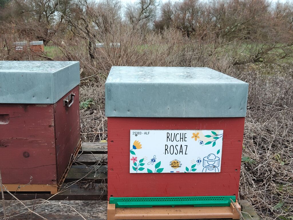 La ruche Rosaz