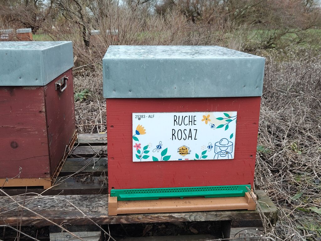 La ruche Rosaz