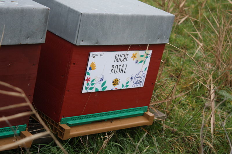 La ruche Rosaz