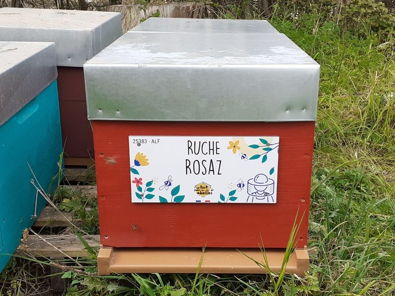 La ruche Rosaz