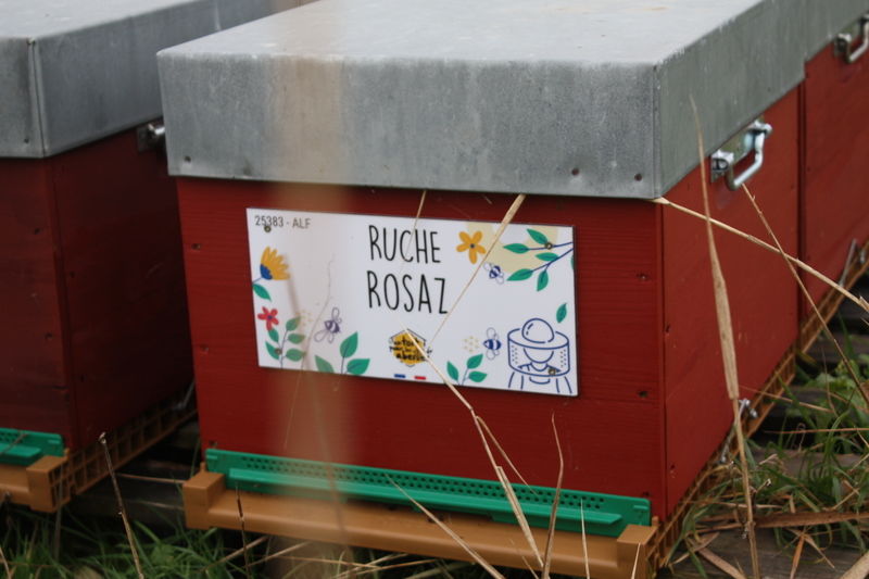 La ruche Rosaz