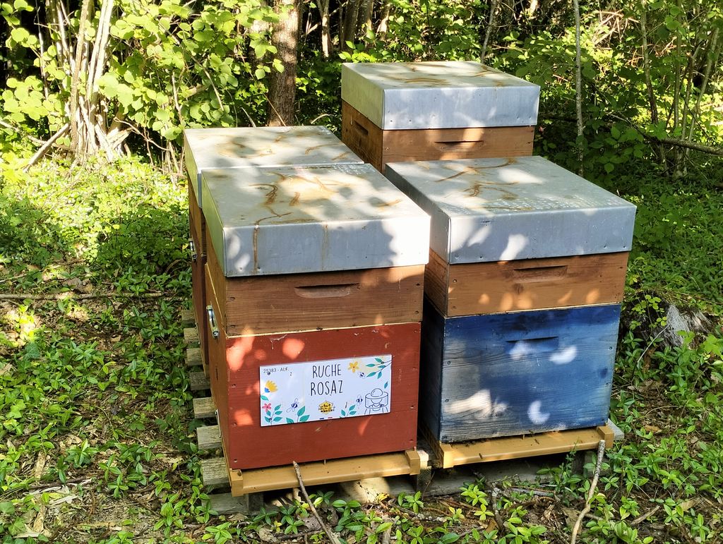 La ruche Rosaz