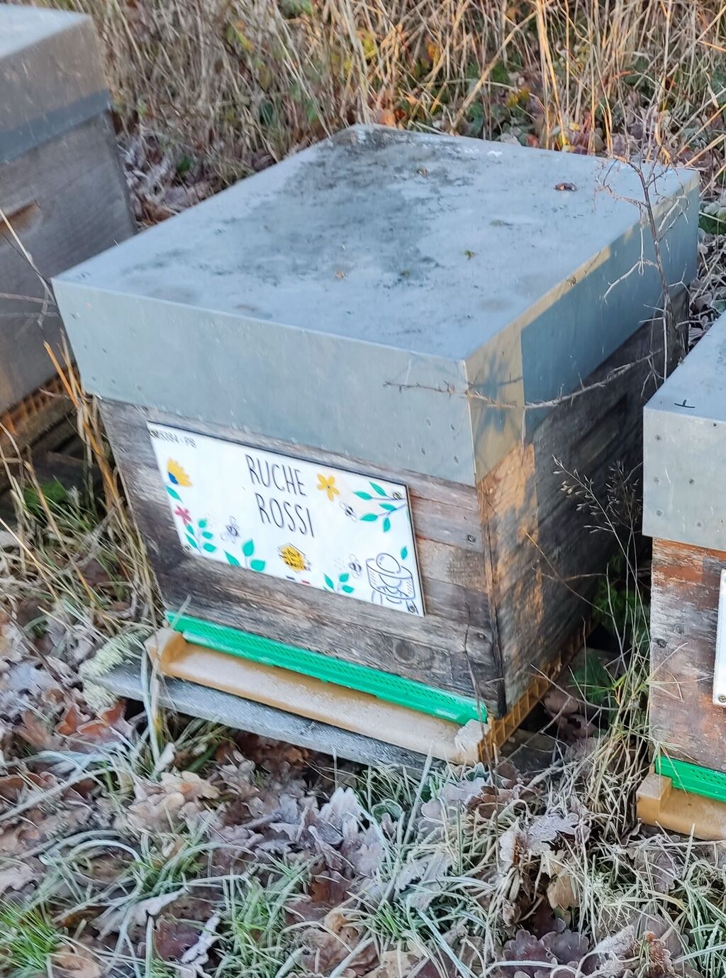 La ruche Rossi