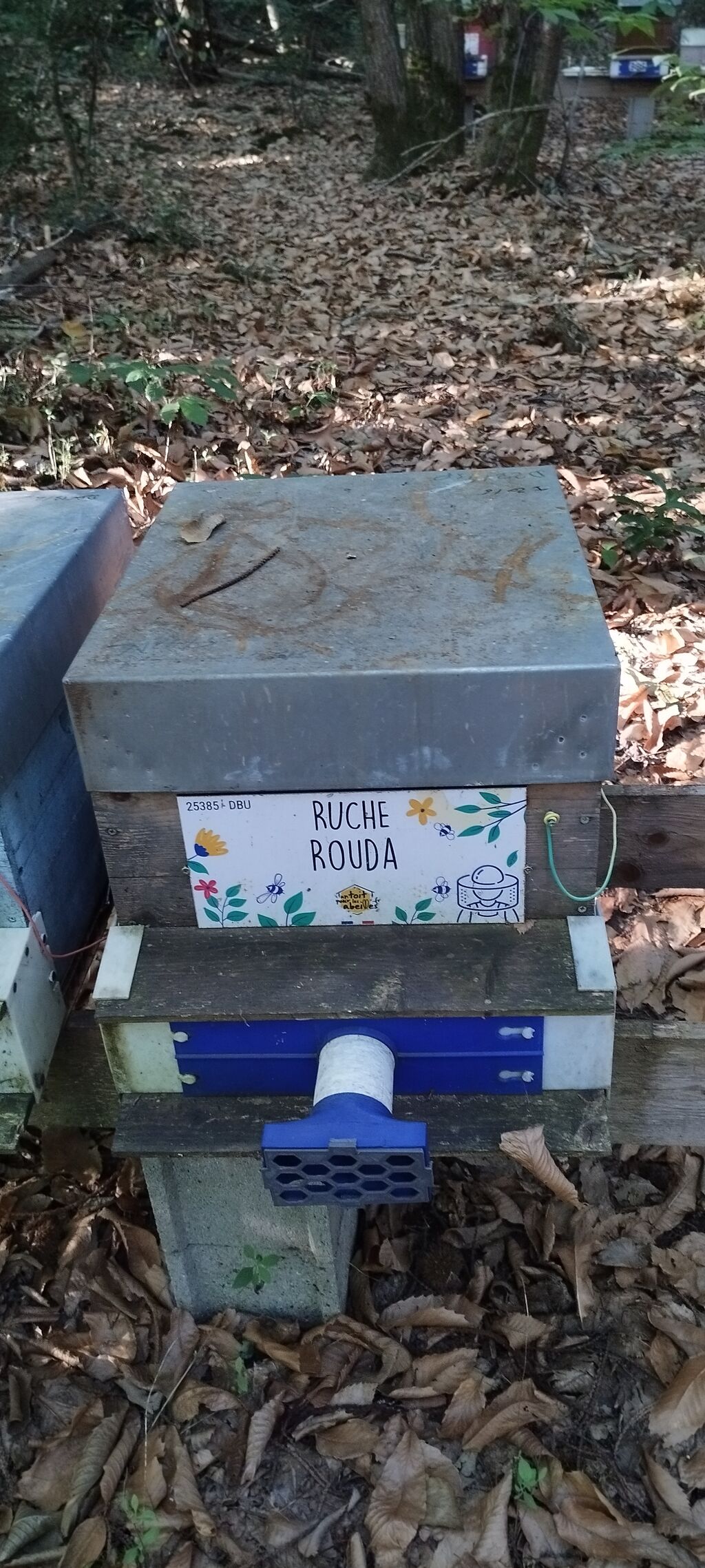La ruche Rouda
