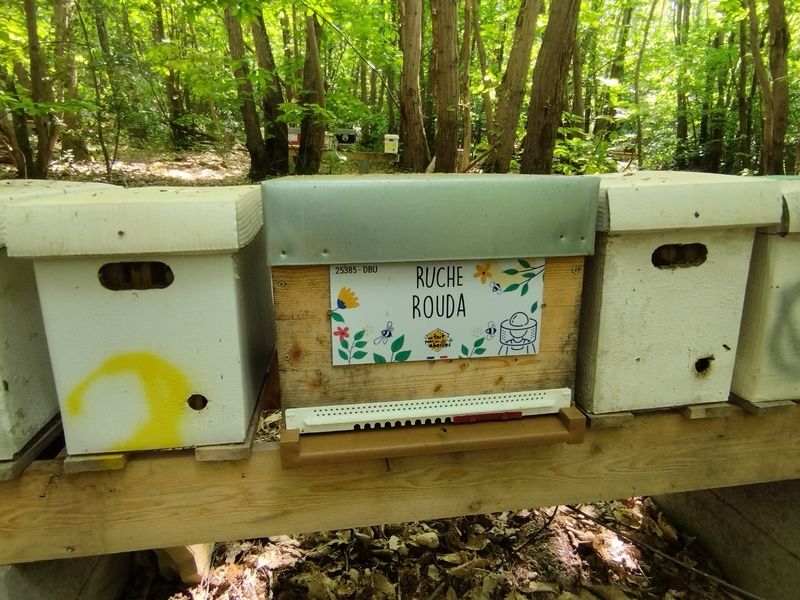 La ruche Rouda