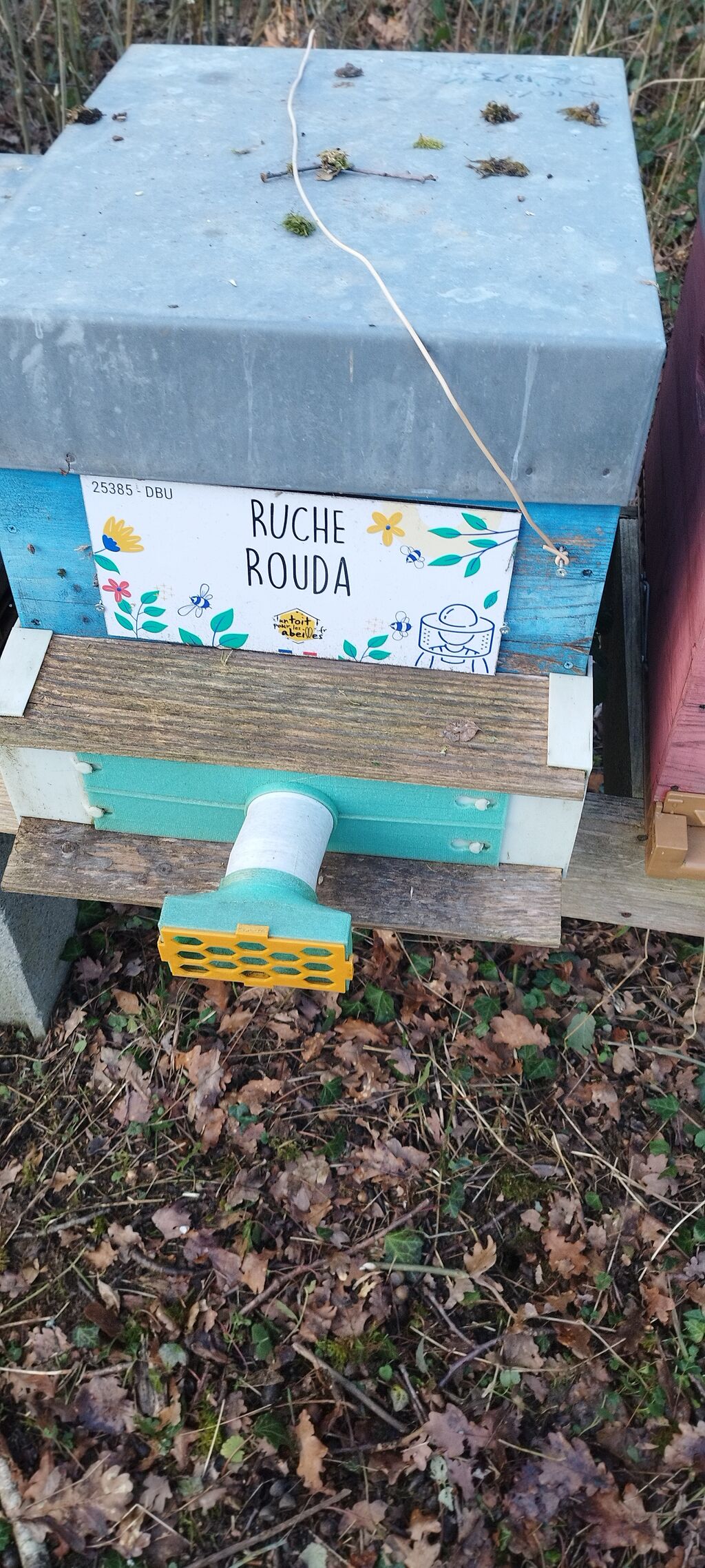La ruche Rouda