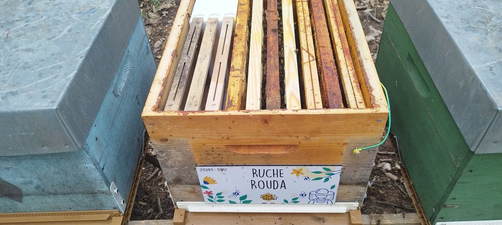La ruche Rouda