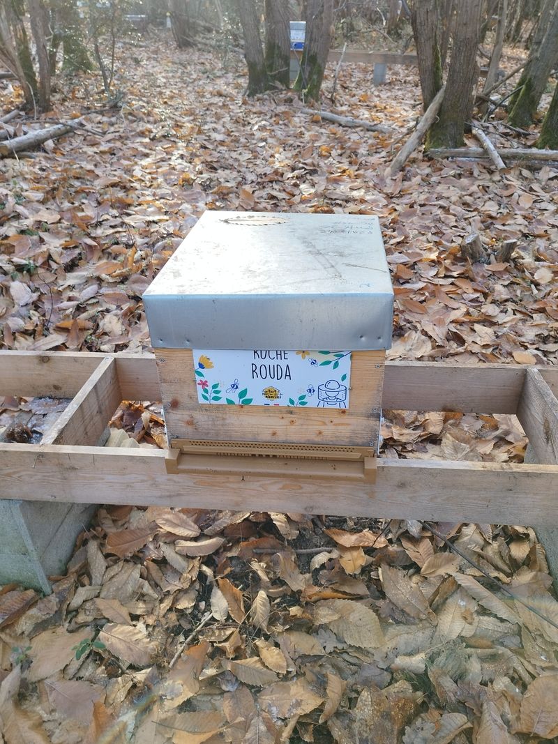 La ruche Rouda