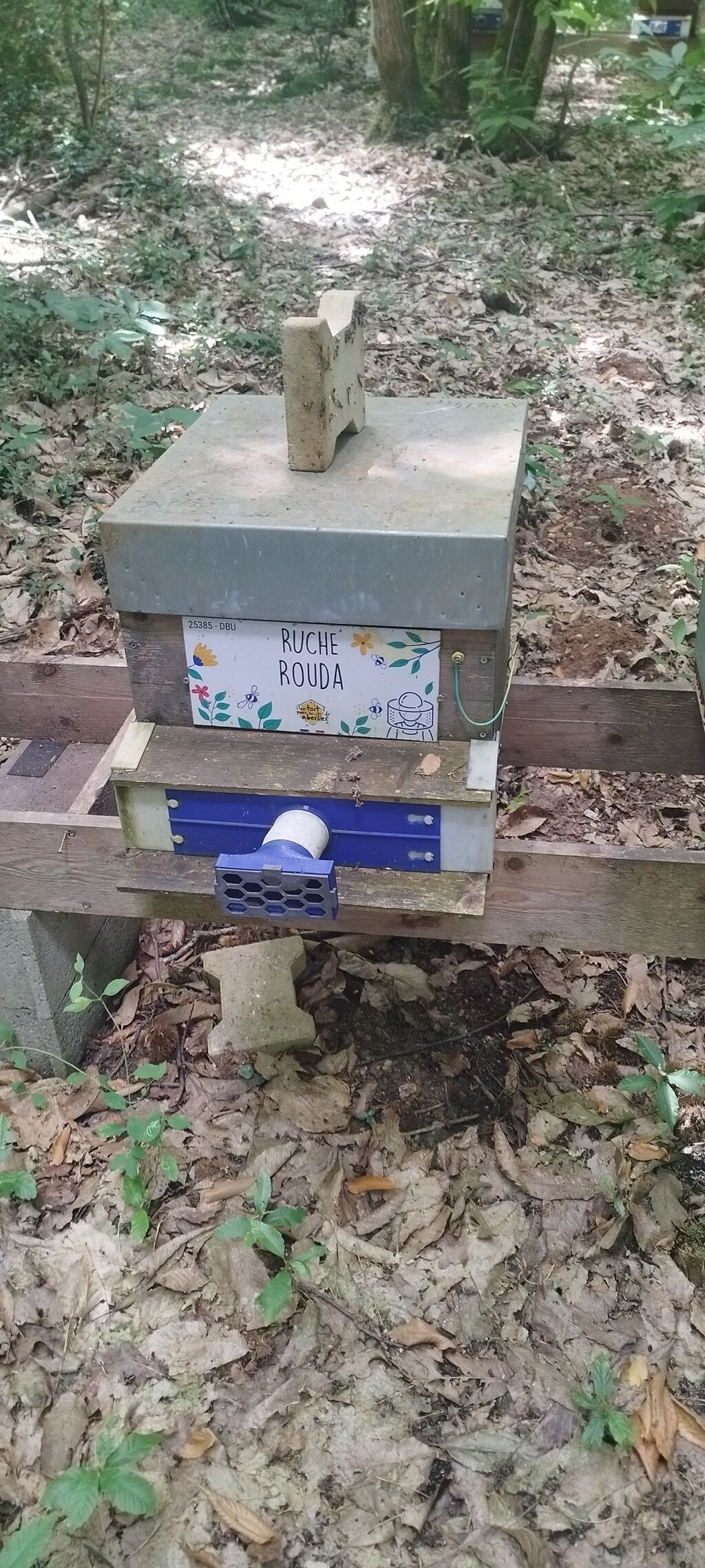 La ruche Rouda