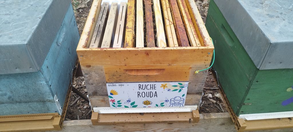 La ruche Rouda
